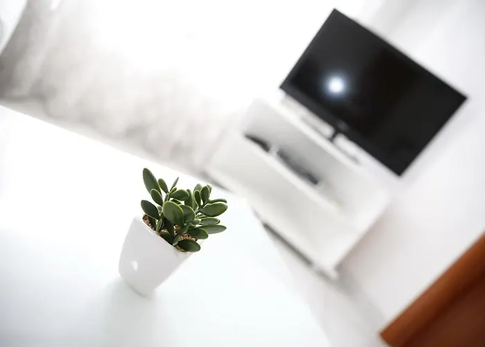 Lepur * ヴォディツェ