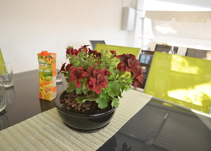 Lepur * ヴォディツェ